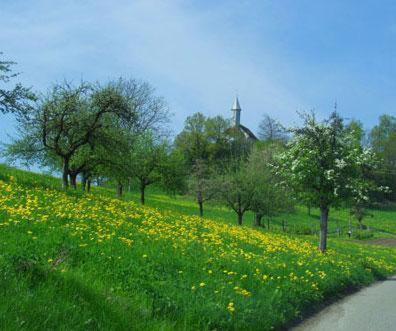 Landgasthof Hirschen 알브룩 외부 사진